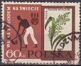 Poland - 1963 - Basic - 60 Groszv - Green - Polonia, FAO - Scott 1113 - FAO Man Collecting and Millet Panicum miliaceum - 0